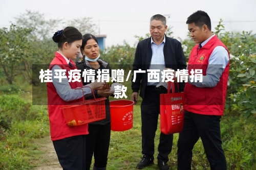 桂平疫情捐赠/广西疫情捐款-第2张图片