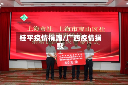 桂平疫情捐赠/广西疫情捐款-第3张图片