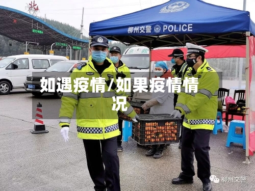 如遇疫情/如果疫情情况-第2张图片