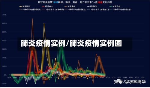 肺炎疫情实例/肺炎疫情实例图-第1张图片