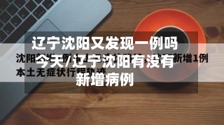 辽宁沈阳又发现一例吗今天/辽宁沈阳有没有新增病例-第1张图片