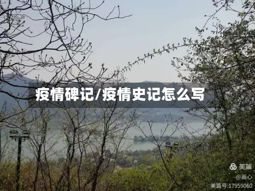疫情碑记/疫情史记怎么写-第1张图片