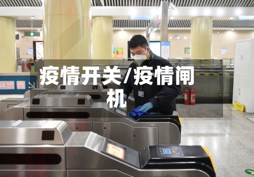 疫情开关/疫情闸机-第2张图片