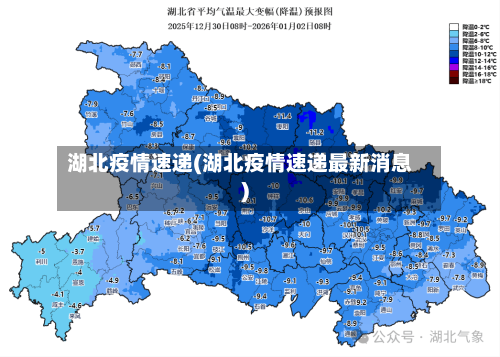 湖北疫情速递(湖北疫情速递最新消息)-第3张图片