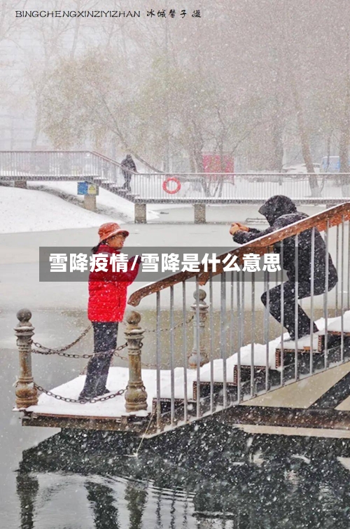 雪降疫情/雪降是什么意思-第1张图片