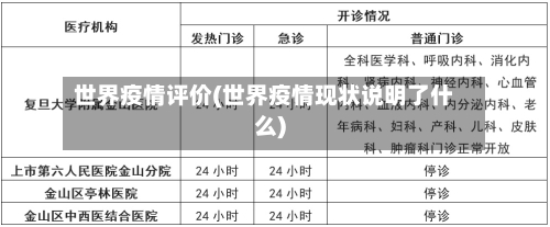 世界疫情评价(世界疫情现状说明了什么)-第1张图片