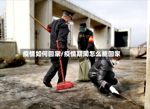 疫情如何回家/疫情期间怎么能回家-第3张图片