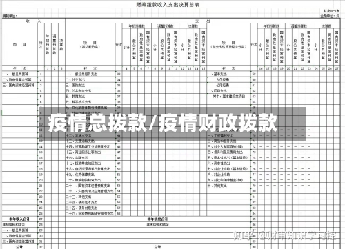 疫情总拨款/疫情财政拨款-第1张图片