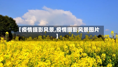 【疫情摄影风景,疫情摄影风景图片】-第1张图片