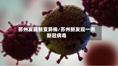 苏州发现新变异株/苏州新发现一例新冠病毒-第3张图片