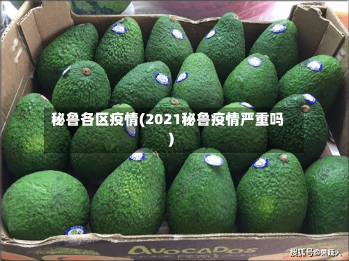 秘鲁各区疫情(2021秘鲁疫情严重吗)-第1张图片