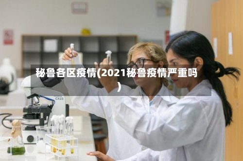 秘鲁各区疫情(2021秘鲁疫情严重吗)-第2张图片