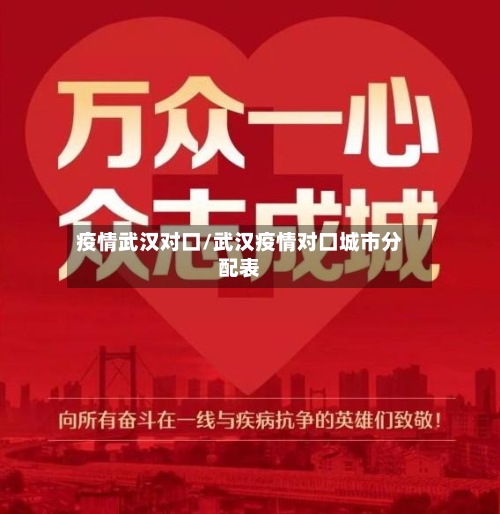疫情武汉对口/武汉疫情对口城市分配表-第2张图片