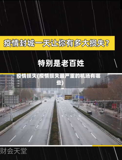 疫情损失(疫情损失最严重的机场有哪些)-第2张图片