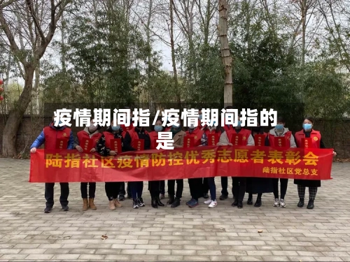 疫情期间指/疫情期间指的是-第1张图片