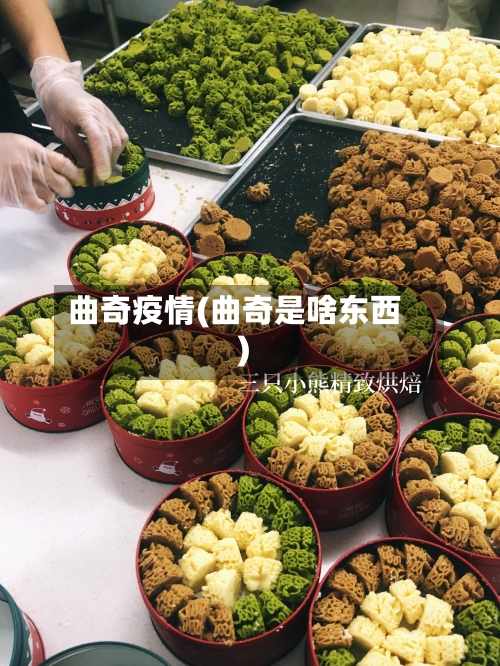 曲奇疫情(曲奇是啥东西)-第1张图片