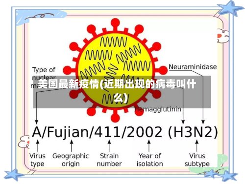 美国最新疫情(近期出现的病毒叫什么)-第1张图片