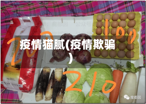 疫情猫腻(疫情欺骗)-第2张图片