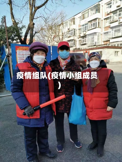 疫情组队(疫情小组成员)-第1张图片