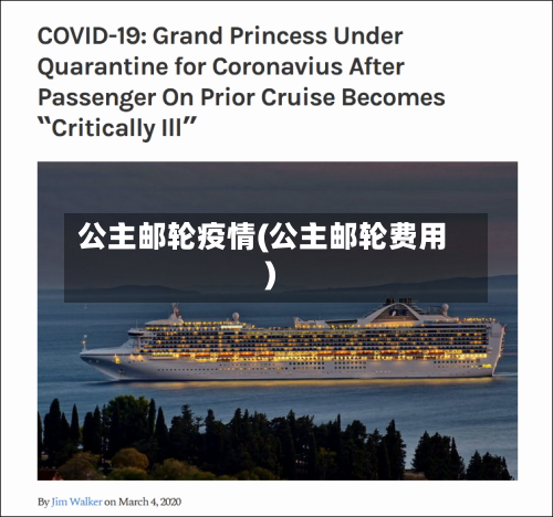公主邮轮疫情(公主邮轮费用)-第2张图片