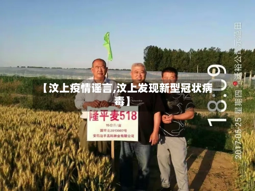 【汶上疫情谣言,汶上发现新型冠状病毒】-第1张图片