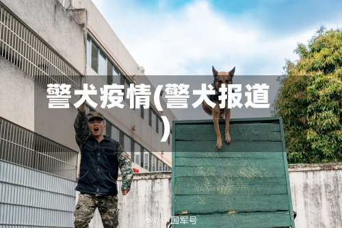 警犬疫情(警犬报道)-第3张图片