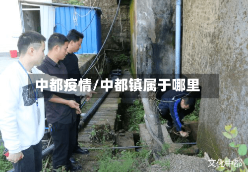 中都疫情/中都镇属于哪里-第1张图片