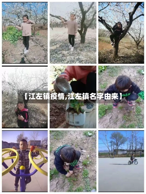 【江左镇疫情,江左镇名字由来】-第1张图片