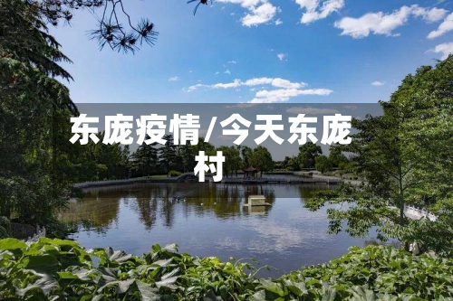 东庞疫情/今天东庞村-第1张图片