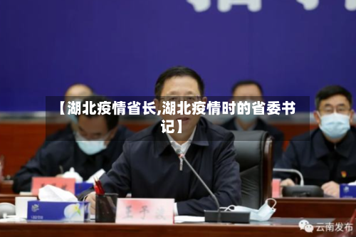【湖北疫情省长,湖北疫情时的省委书记】-第1张图片