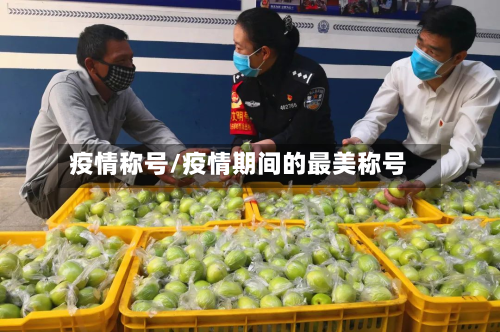 疫情称号/疫情期间的最美称号-第1张图片