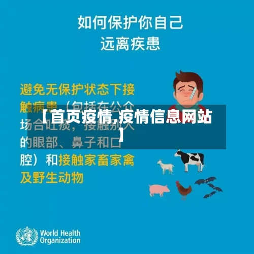 【首页疫情,疫情信息网站】-第2张图片
