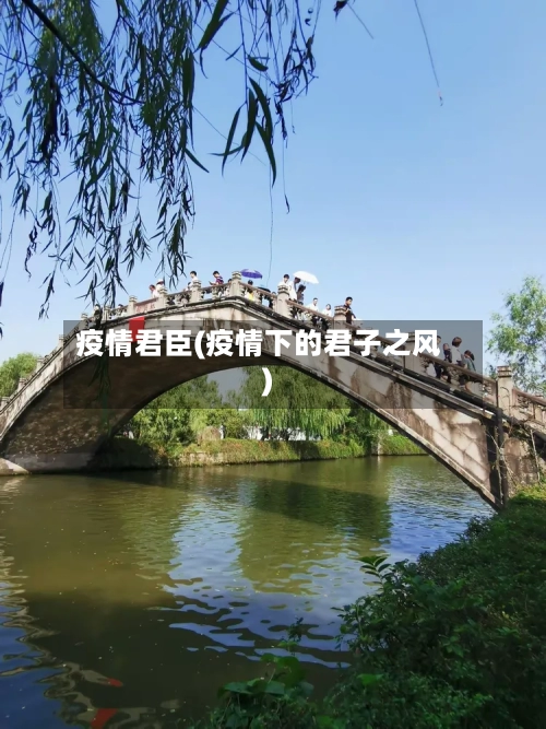 疫情君臣(疫情下的君子之风)-第1张图片