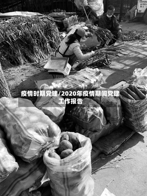 疫情时期党建/2020年疫情期间党建工作报告-第1张图片