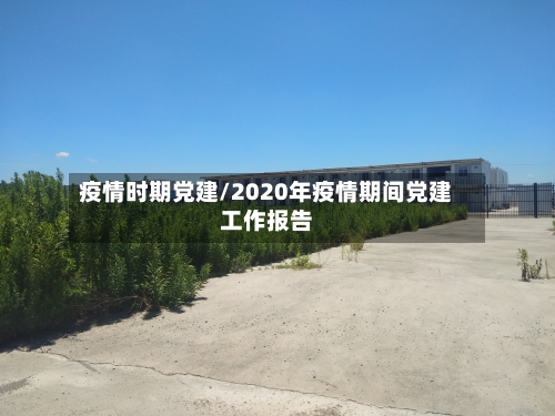 疫情时期党建/2020年疫情期间党建工作报告-第2张图片