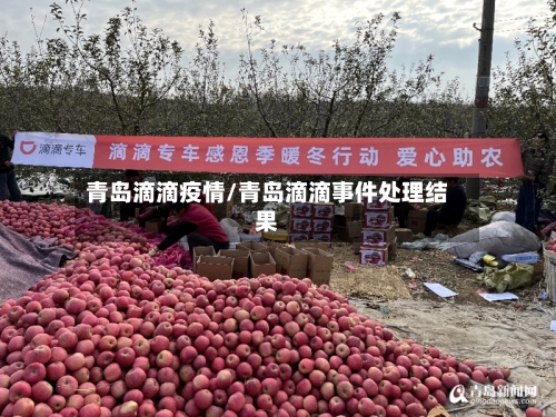 青岛滴滴疫情/青岛滴滴事件处理结果-第1张图片