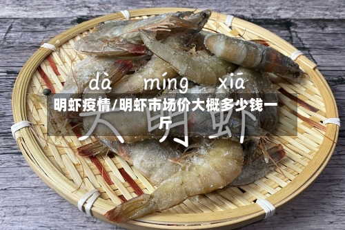 明虾疫情/明虾市场价大概多少钱一斤-第2张图片