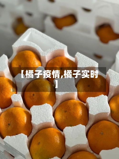 【橘子疫情,橘子实时】-第1张图片