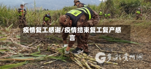 疫情复工感谢/疫情结束复工复产感言-第3张图片