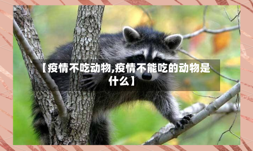【疫情不吃动物,疫情不能吃的动物是什么】-第3张图片