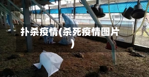 扑杀疫情(杀死疫情图片)-第1张图片