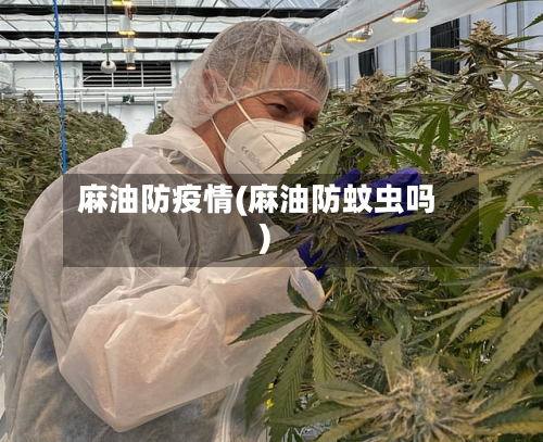 麻油防疫情(麻油防蚊虫吗)-第1张图片