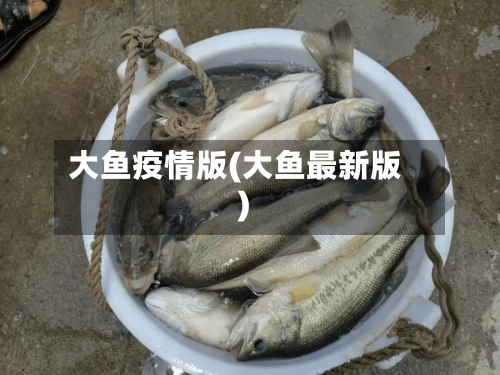 大鱼疫情版(大鱼最新版)-第3张图片