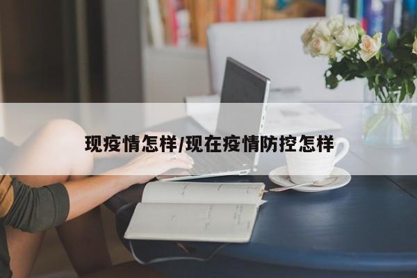 现疫情怎样/现在疫情防控怎样