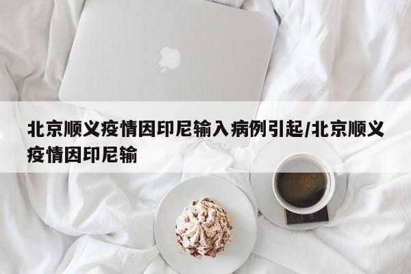 北京顺义疫情因印尼输入病例引起/北京顺义疫情因印尼输